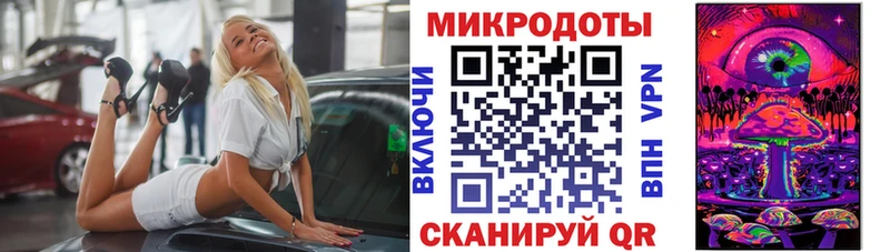 KRAKEN зеркало  Куртамыш  Псилоцибиновые грибы ЛСД 